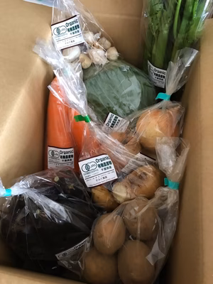 みんなの投稿の画像