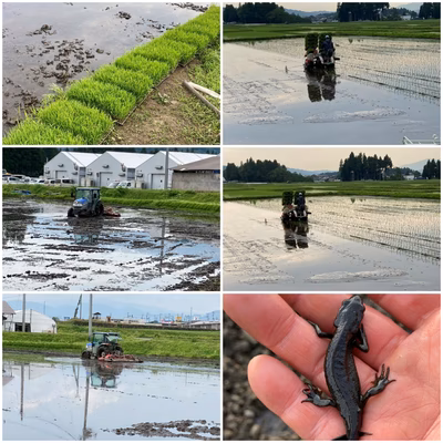 みんなの投稿の画像