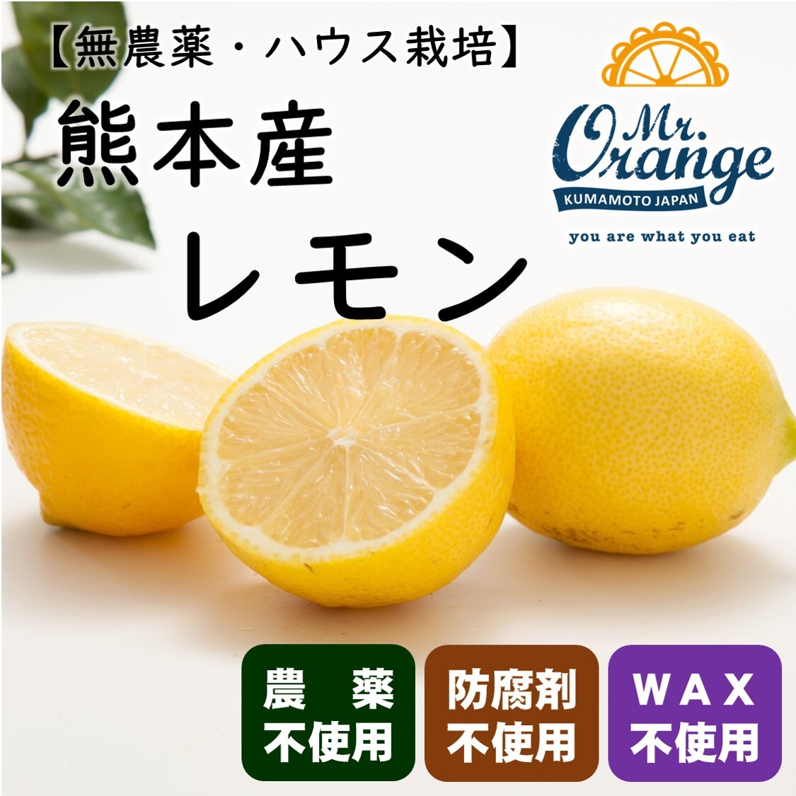 栽培期間中農薬不使用・良品】ハウス栽培レモン 味も香りもバツグン
