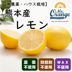 【農薬不使用・良品】ハウス栽培レモン　味も香りもバツグン！【冷蔵便】