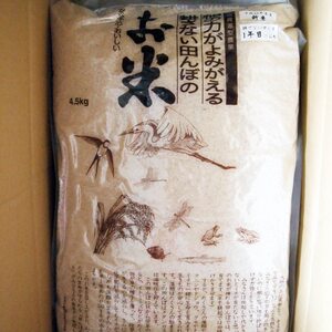 耕さない田んぼのこしかり・玄米4.5kg