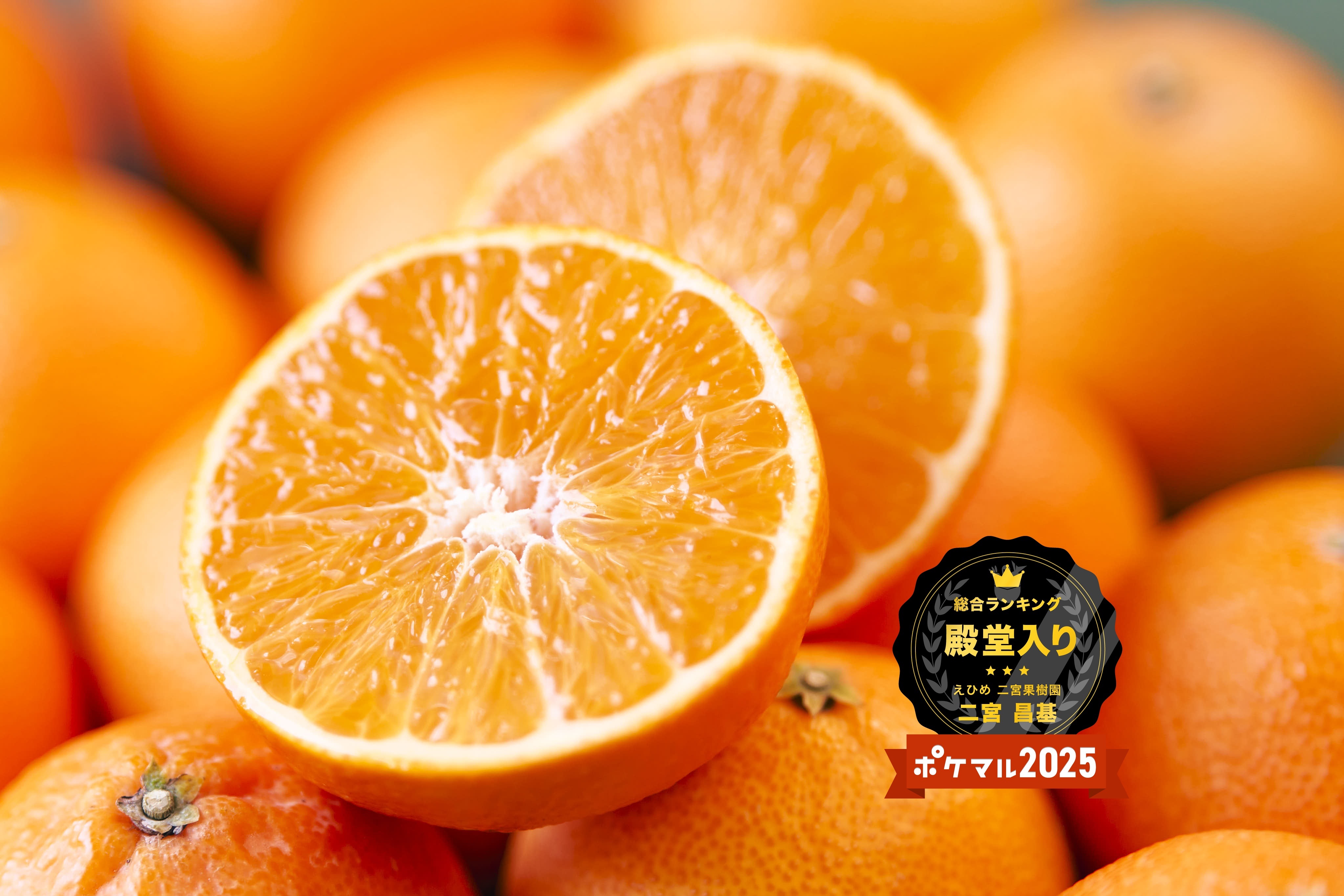 蔵出し 完熟薄皮マドンナ 今週はお得な週末｜オレンジの商品詳細