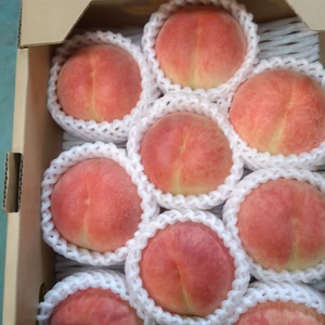 桃甘い陽夏妃