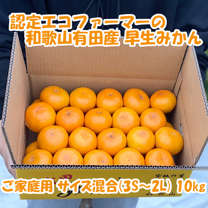 [ご家庭用・サイズMIX]和歌山有田産!早生みかん≪10kg≫★11月下旬〜発送 10kg