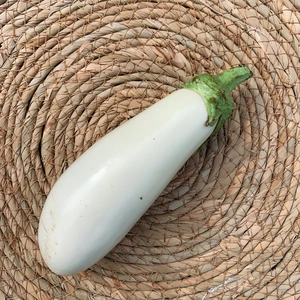 自然栽培 固定種 白ナス「スノーウィー」【栽培期間中農薬・化学肥料不使用】