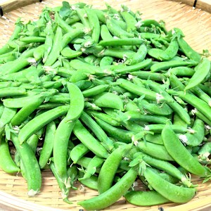 止まらない美味しさ！スナップ豌豆！とスティックセニョール1.5㎏のセット