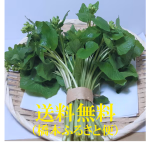 春の香り　天然花わさび（１束約100グラム）