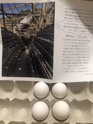 みんなの投稿の画像