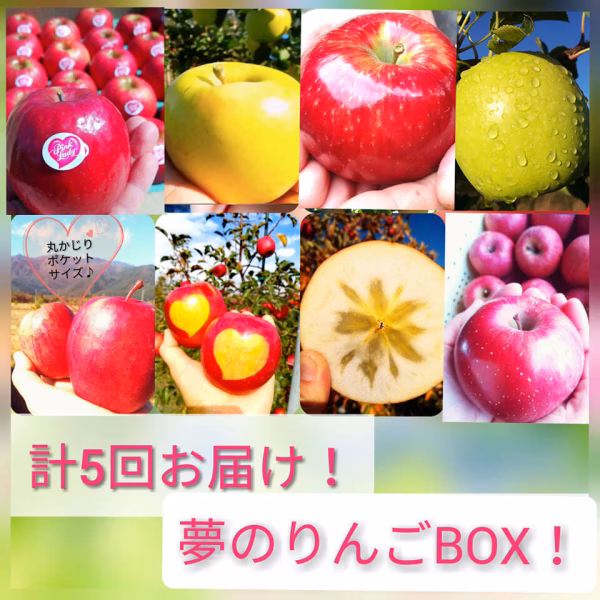 【信州 夢のワクワクりんご便】旬のりんご食べ比べ♪