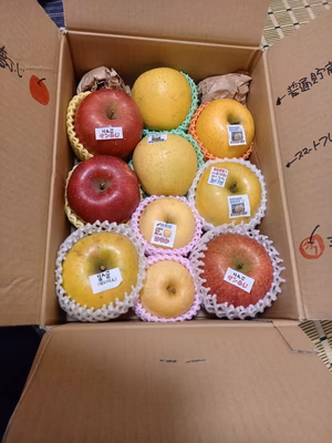 みんなの投稿の画像