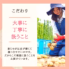 あなた好みの2品種お届け!!【北海道産じゃがいも】8月発送