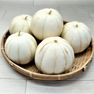 2022年　幻のマクワウリ　菊メロン