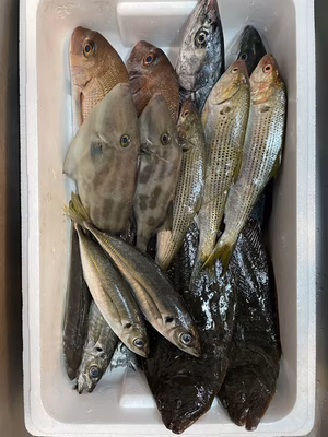 みんなの投稿の画像