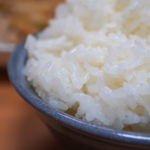 【限定10箱】アイガモ農法の有機米コシヒカリ（2合20個セット）