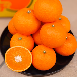 ☆津之輝☆つのかがやき☆