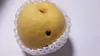 7月【訳あり】黄桃　品種は何が届くかお楽しみ 2kg
