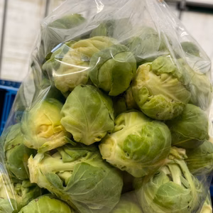 コロコロっと！芽キャベツ（1kg袋詰め）