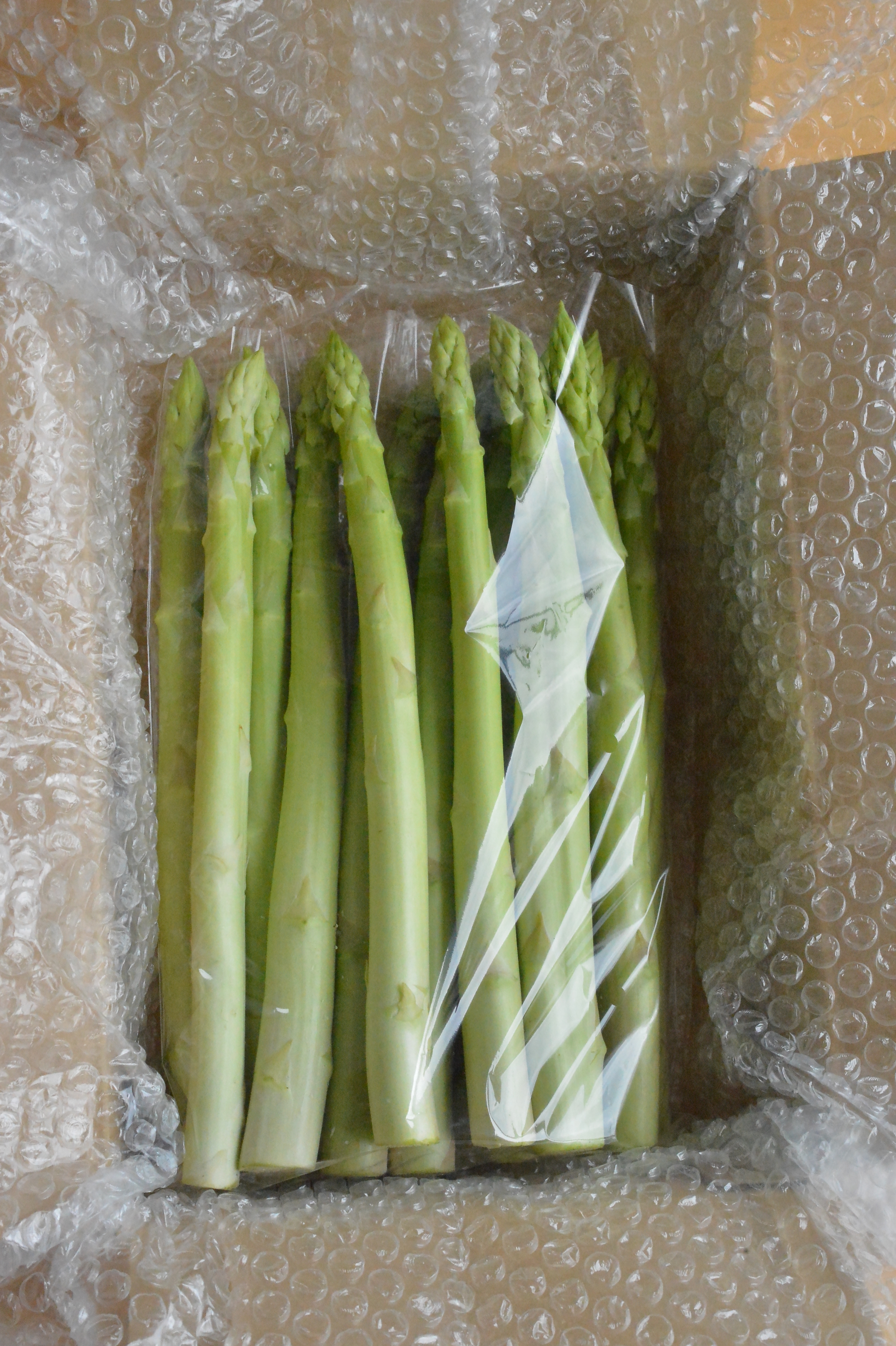 あすぱらがすページ ふぁふぁふぁーむアスパラガス500g：佐賀県産のゼンユウハヨデル