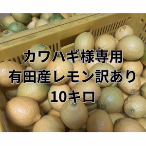 カワハギ様専用 有田産レモン 10キロ 超減農薬 訳あり