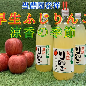 早生ふじりんご★100％ジュース（涼香の季節）