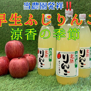 早生ふじりんご★100％ジュース（涼香の季節）