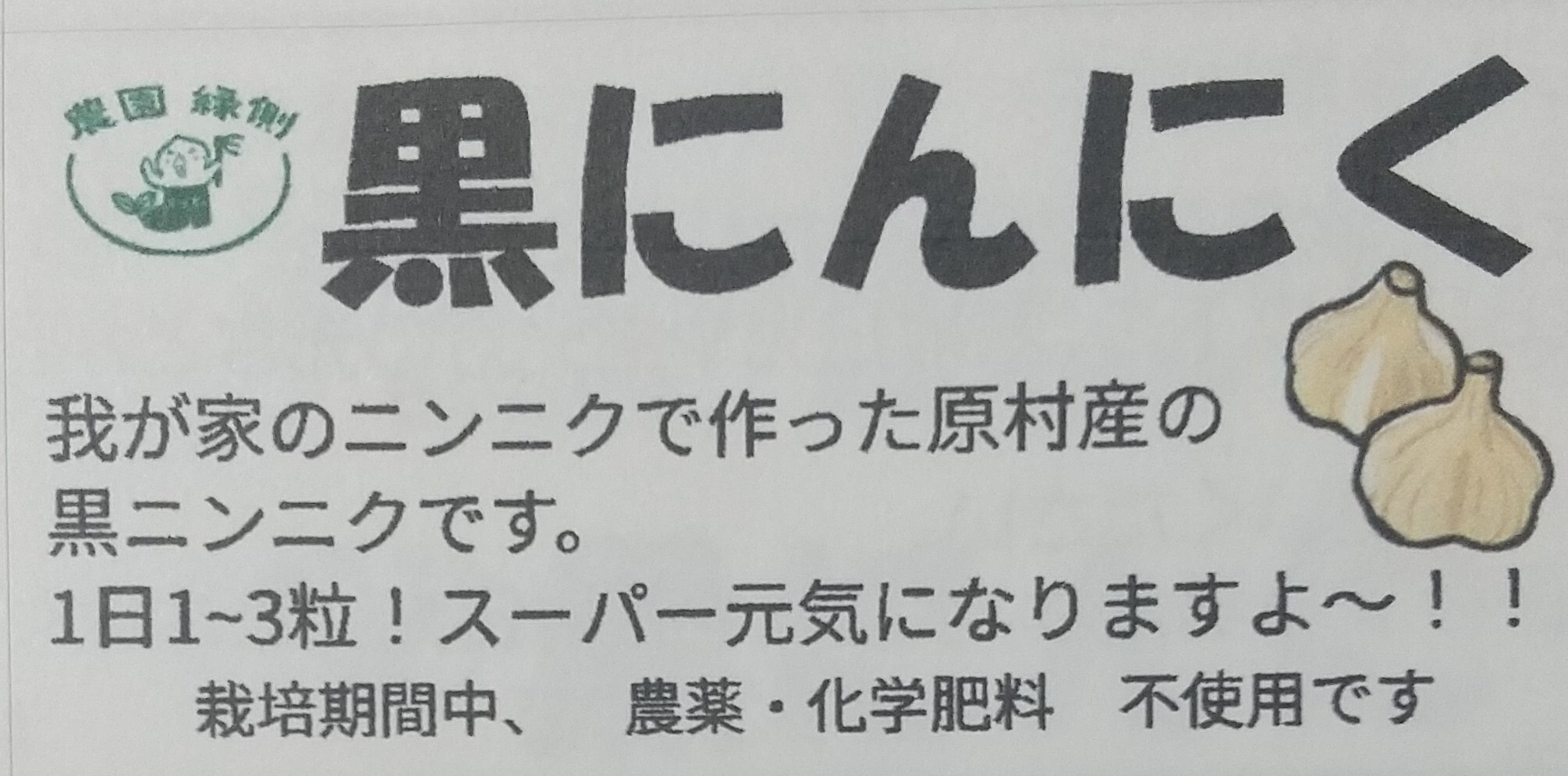 ジャンボニンニク20キロ(農薬,化学肥料不使用) - 野菜