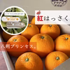 紅はっさく3.5kg前後 8〜11玉入 Lサイズ以上 送料無料 紅八朔