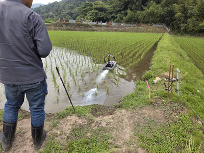 みんなの投稿の画像