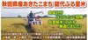 ”新米”★食味厳選★令和３年秋田県産あきたこまち白米５ｋｇ