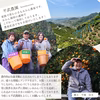 農家直送！きよみオレンジ　無選別３Kg～≪秀品・訳あり品・サイズ混合≫平武農園