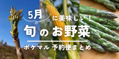 5月が旬の野菜（山菜・アスパラ・とうもろこし等）旬食材 予約・購入も