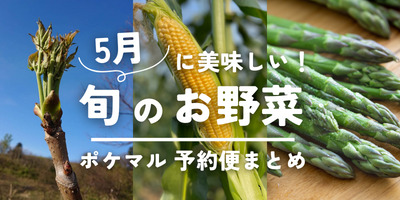 2024年版】5月が旬の野菜（山菜・アスパラ・とうもろこし等）旬食材