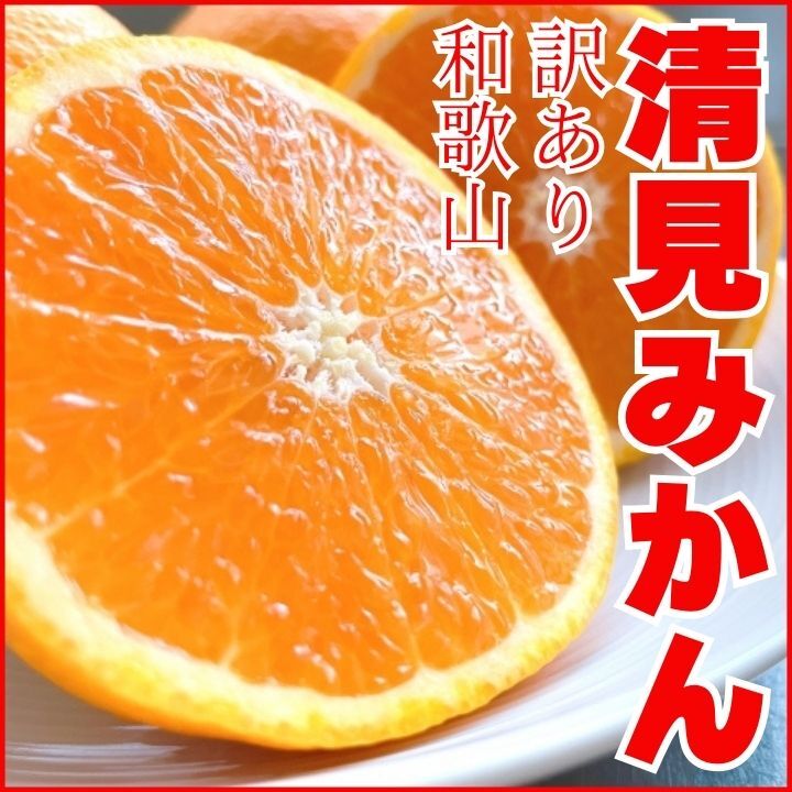 清見みかん きよみ 清見オレンジ 訳あり 和歌山県産 旬の果物｜不知火