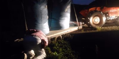 やばいやばい！