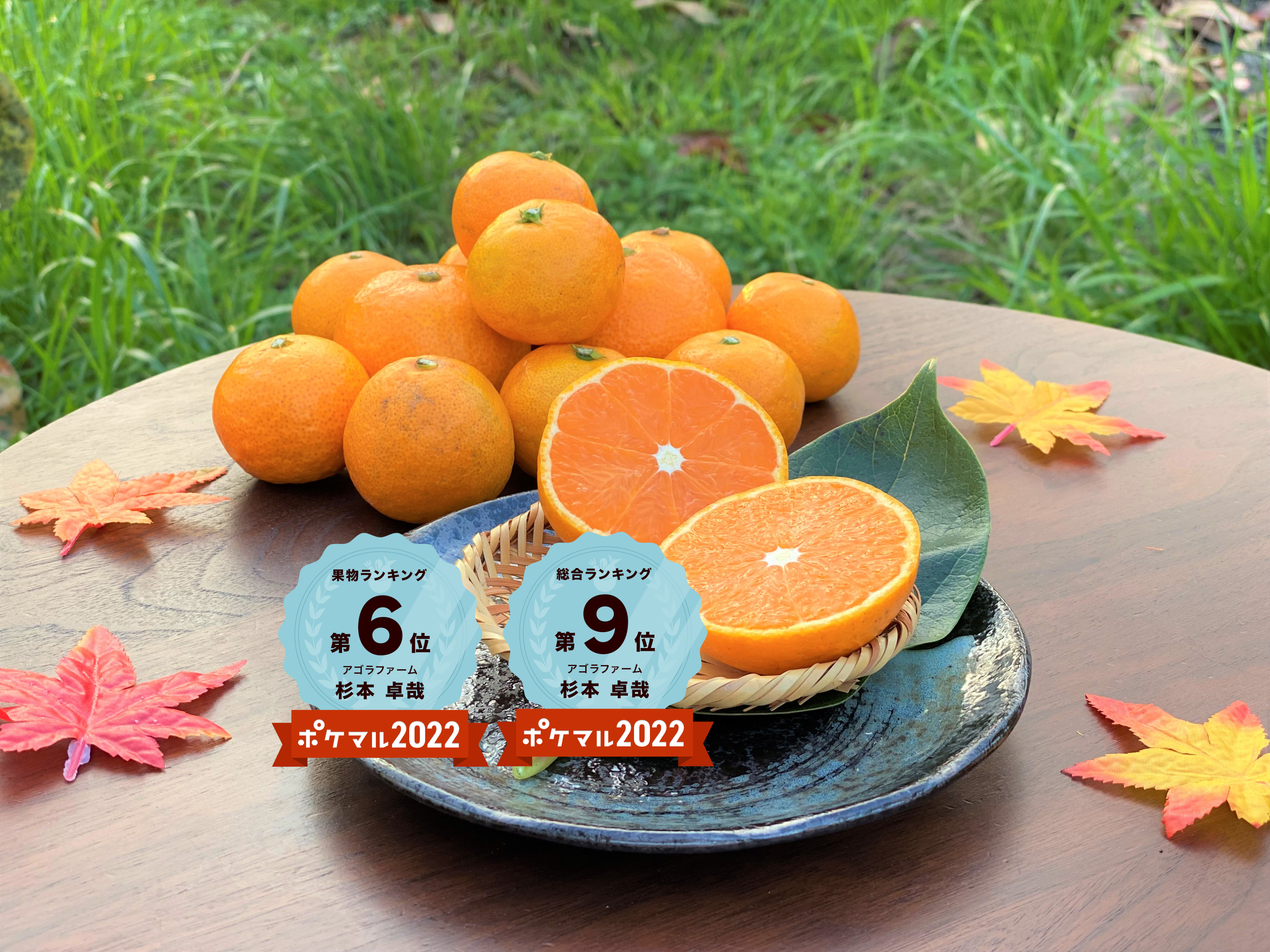 橋本市の産直通販・お取り寄せ商品｜ポケットマルシェ｜産地直送で旬の