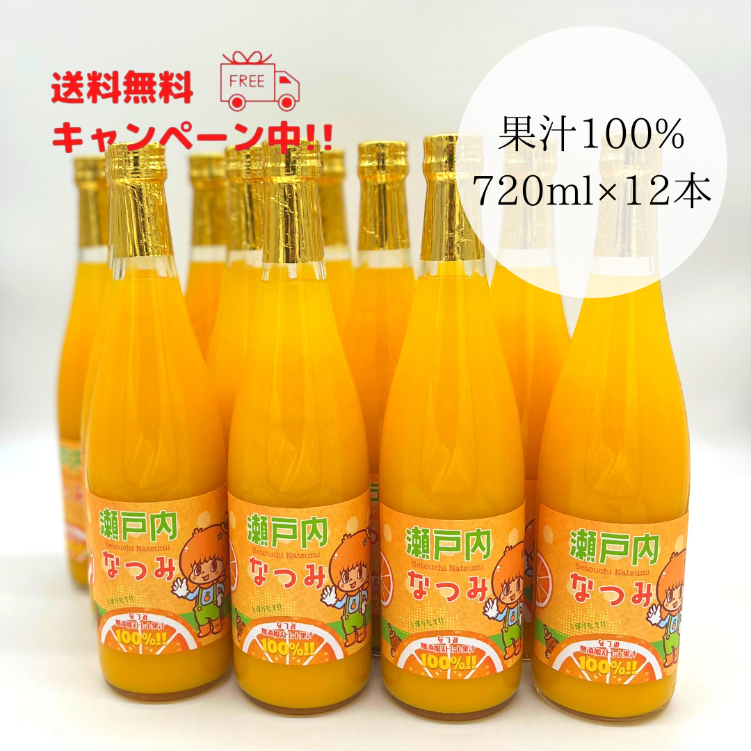 なつみジュース 720ml（無添加ストレート果汁100％）【12本セット