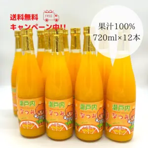 なつみジュース 720ml（無添加ストレート果汁100％）【12本セット】
