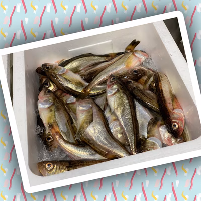 みんなの投稿の画像