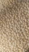 令和3年産 特別栽培米マンゲツモチ 精米2kg 低農薬（80％以上削減）