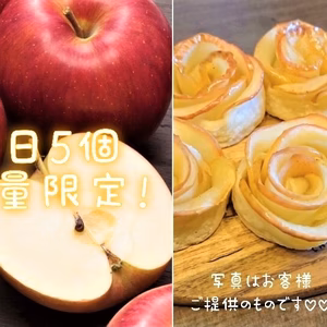 【数量限定】すぐ発送します！昨年大好評の完熟シナノスイート　家庭用