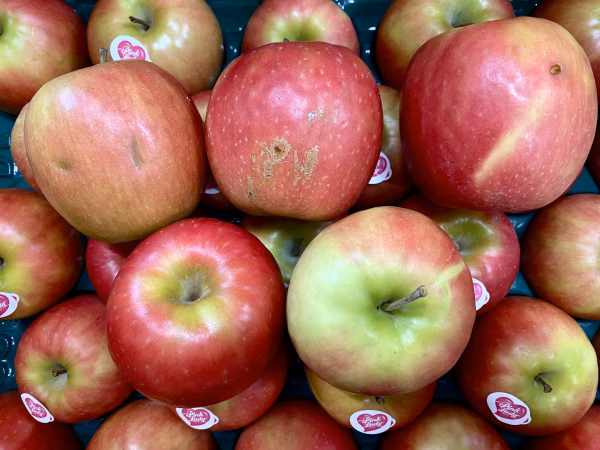 【加工用】ピンクレディー