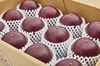 【農薬不使用】東京パッションフルーツL玉以上12個×２箱