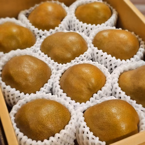 樹上熟成栽培洋梨♣芳醇な香りに癒やされる♪とろ〜り濃厚洋梨〚ゴールドラフランス〛