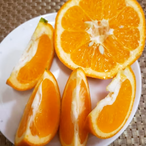 減農薬　伊予柑（イヨカン）　４㌔　家庭用　ワックス不使用で皮まで安全安心