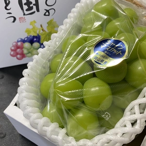 果物王国　晴れの国岡山県産シャインマスカット