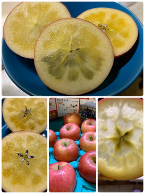 みんなの投稿の画像