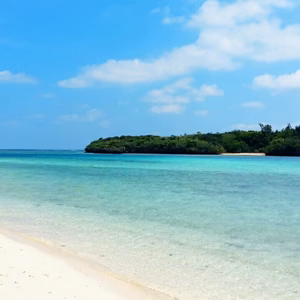 ♥Taiyo様専用です♥