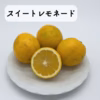 スイートレモネード　食べるレモン　瀬戸内レモン