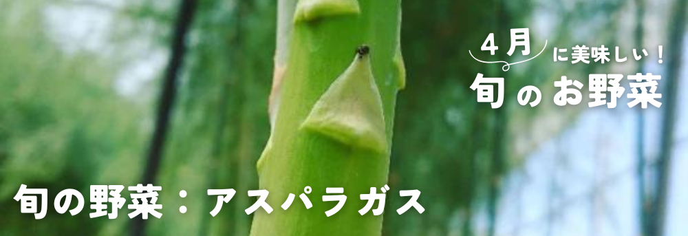 4月に旬の野菜:アスパラ