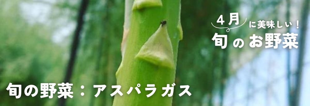 ４月に旬の野菜：アスパラ